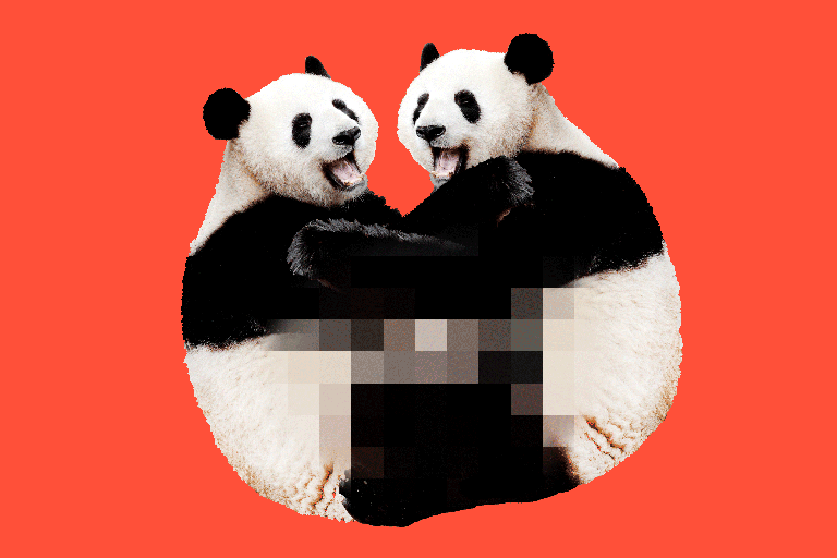 Panda tv
