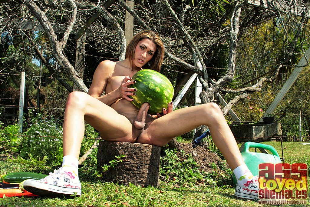 Shemale Fucks Watermelon Porn New Photos 100 Free